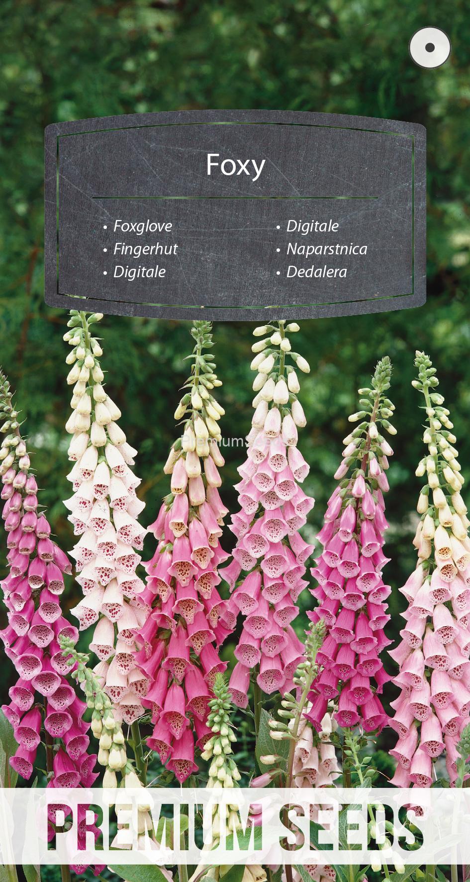 WORLD N 91 03 01.indd Foxglove Foxy Mixed - seeds