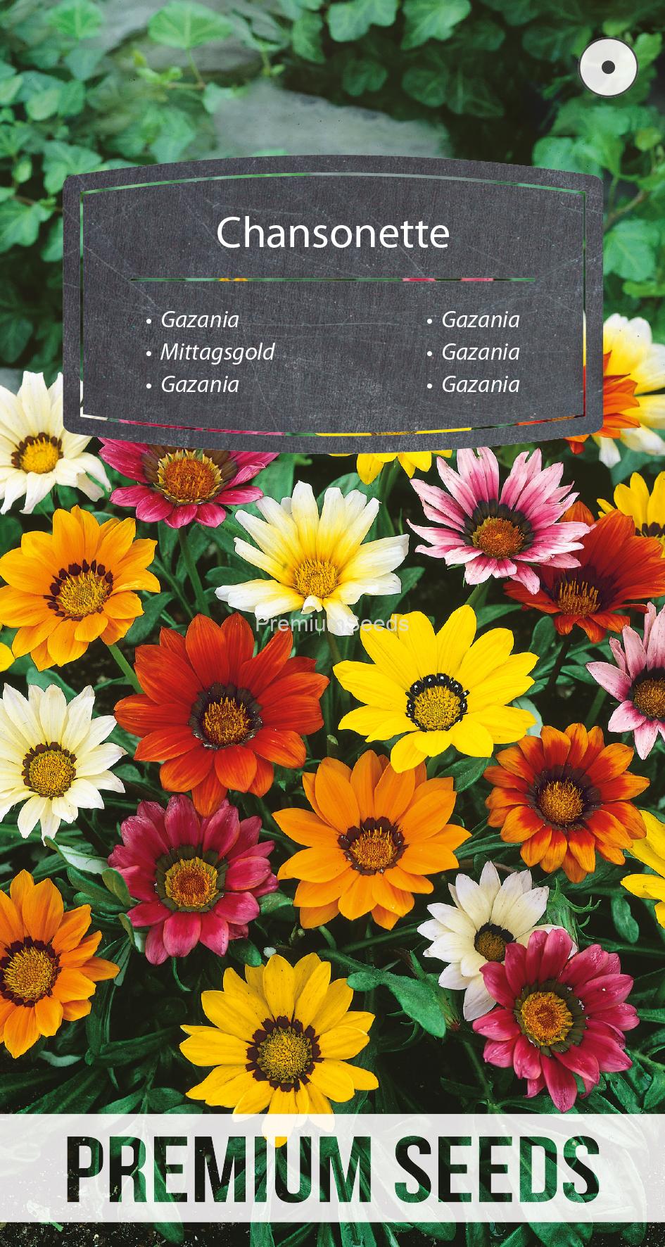 WORLD N 91 34 51.indd Gazania Chansonette Mixed - seeds