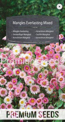 Mangles Everlasting Mixed - seeds