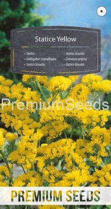 Statice Yellow - seeds