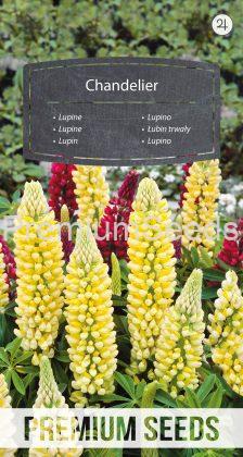 Lupine Chandelier - Samen