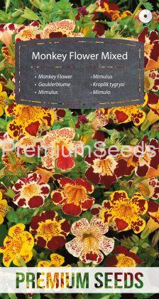 Monkey Flower Mixed - seeds