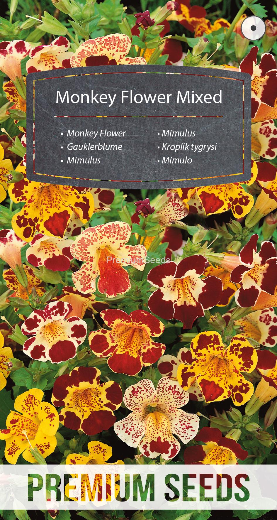 WORLD N 92 16 01.indd Monkey Flower Mixed - seeds