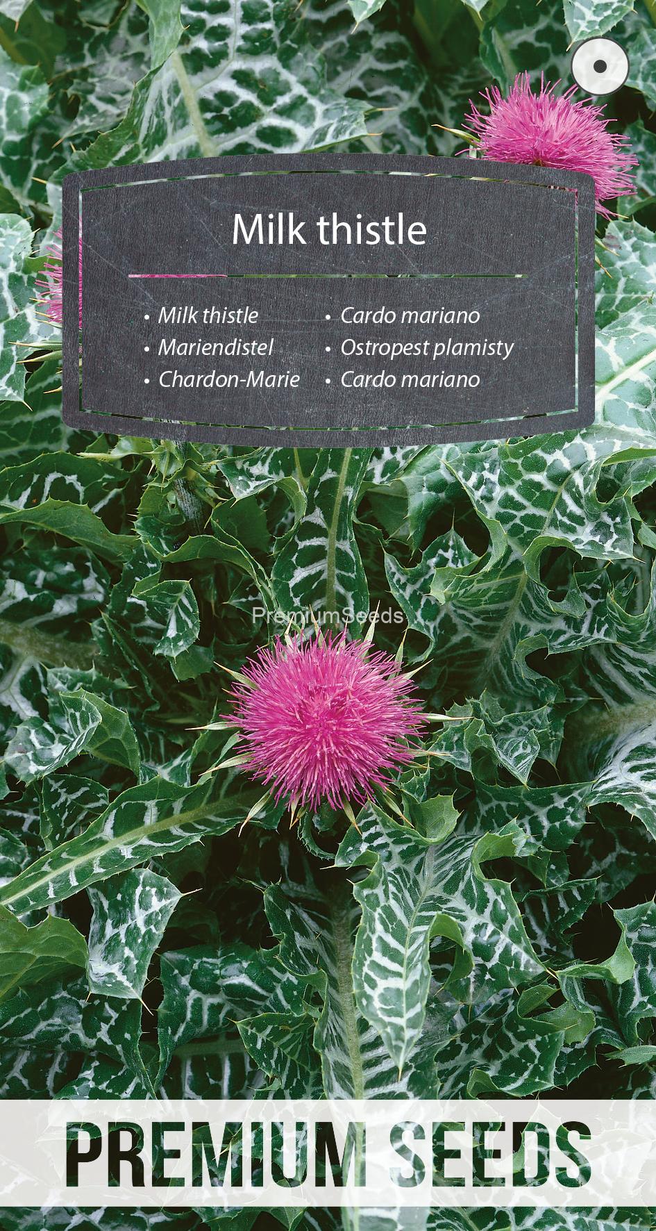 WORLD N 92 97 50.indd Mariendistel - Samen