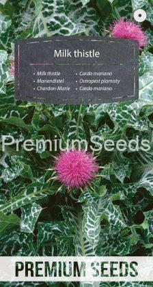 Milk thistle - seeds