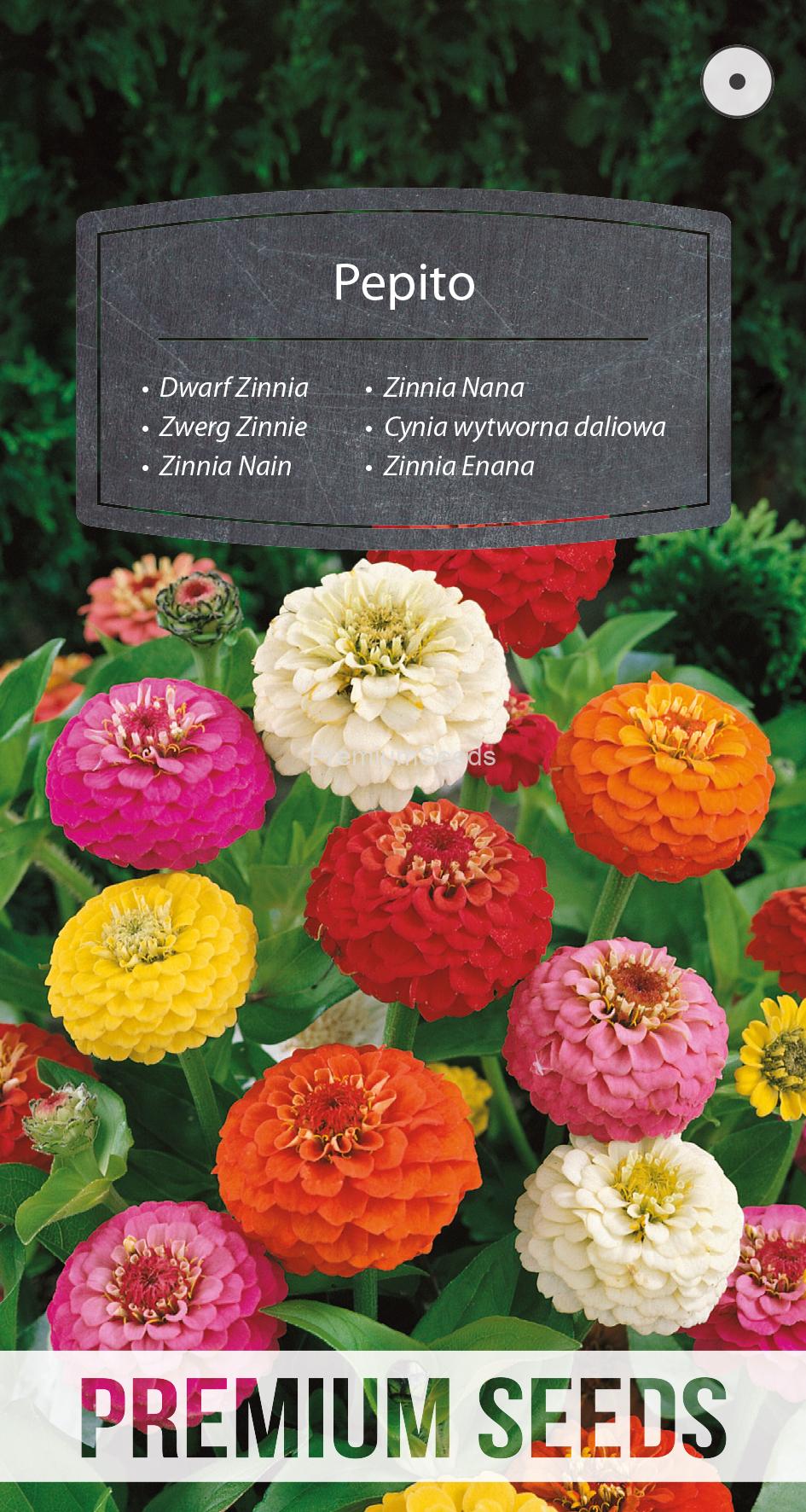 WORLD N 93 43 54.indd Zwerg Zinnie Pepito Mischung - Samen