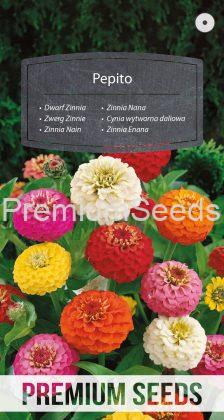 Dwarf Zinnia Pepito Mixed - seeds