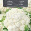Chou-fleur Snowball X - semences