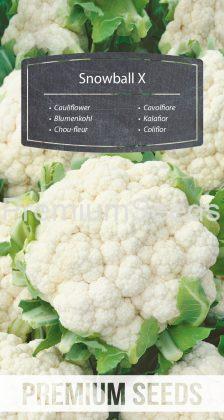Cauliflower - Snowball X - seeds