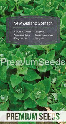 New Zealand Spinach - seeds