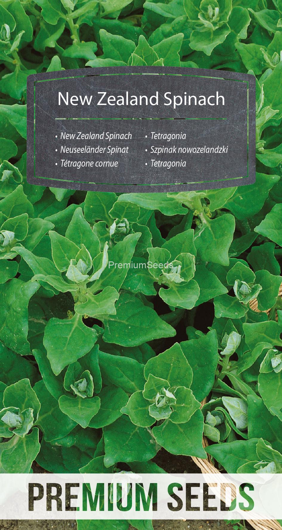 WORLD N 94 80 55.indd Tetragonia - semi