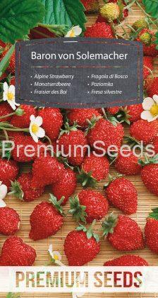 Alpine Strawberry - Baron von Solemacher - seeds