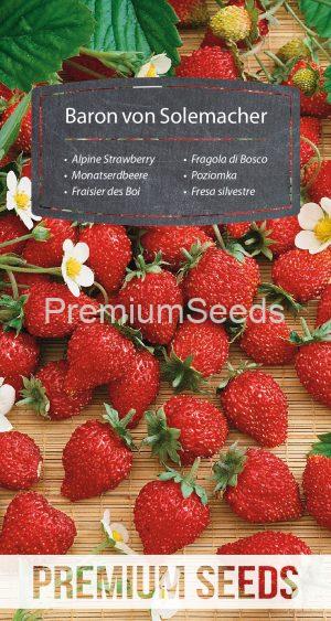Alpine Strawberry - Baron von Solemacher - seeds