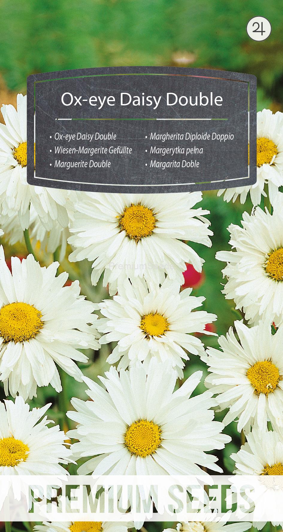 WORLD N G 390 0136.indd Ox-eye Daisy Double - seeds