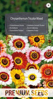 Chrysanthemum Tricolor Mixed - seeds