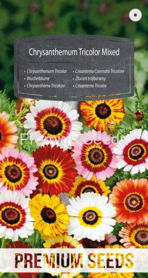 Chrysanthemum Tricolor Mixed - seeds