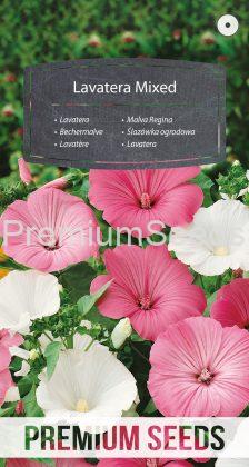 Lavatera Mixed - seeds