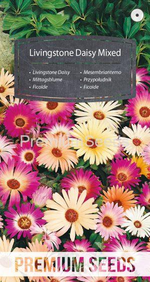 Livingstone Daisy Mixed - seeds