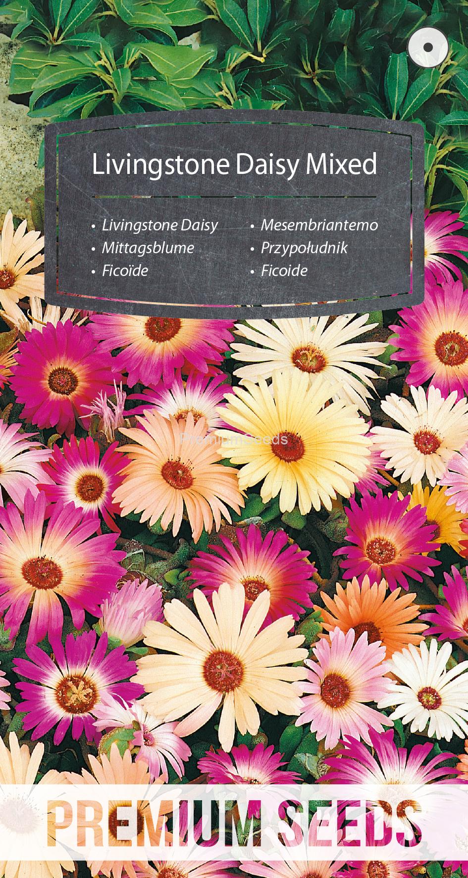 WORLD N G 450 0096.indd Livingstone Daisy Mixed - seeds