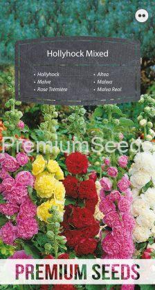 Hollyhock Mixed - seeds