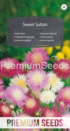 Sweet Sultan - seeds