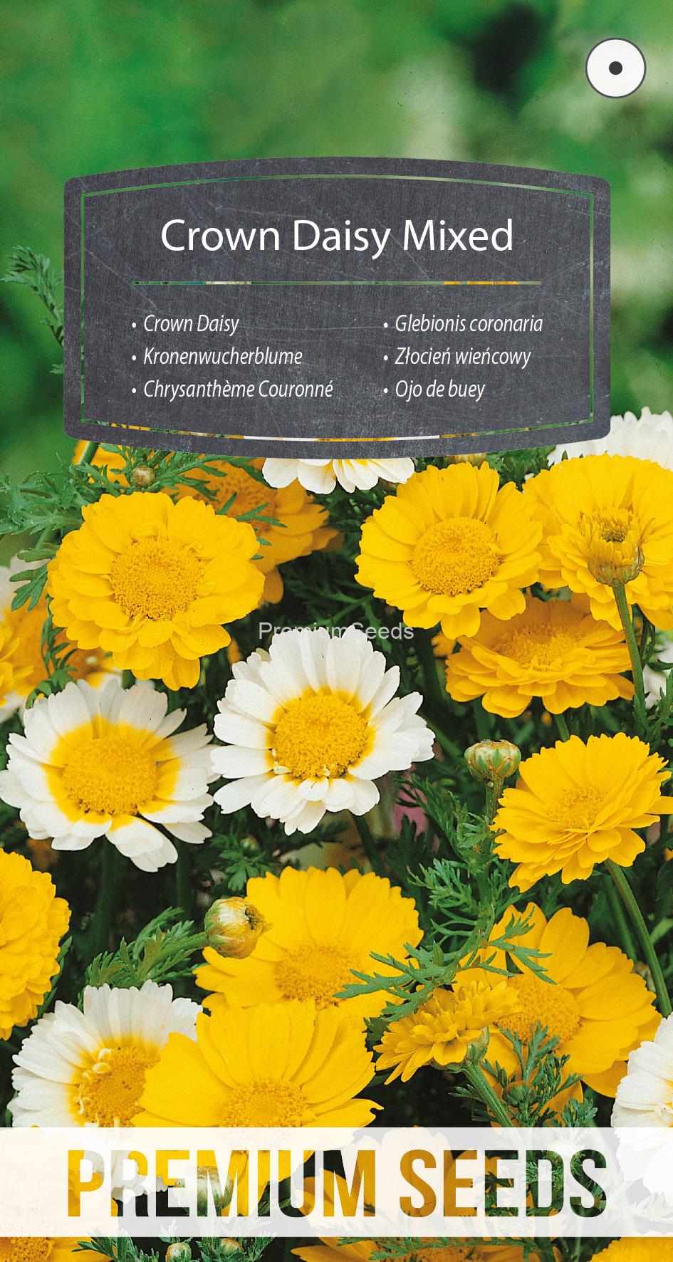 WORLD N G 450 0316.indd Kronenwucherblume Mischung - Samen