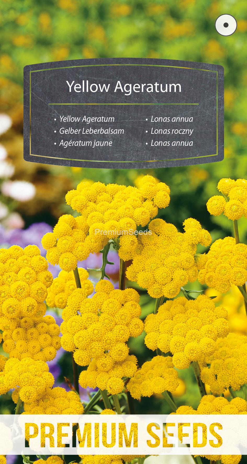 WORLD N G 450 0388.indd Yellow Ageratum - seeds