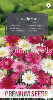 Immortelle Mixed - seeds