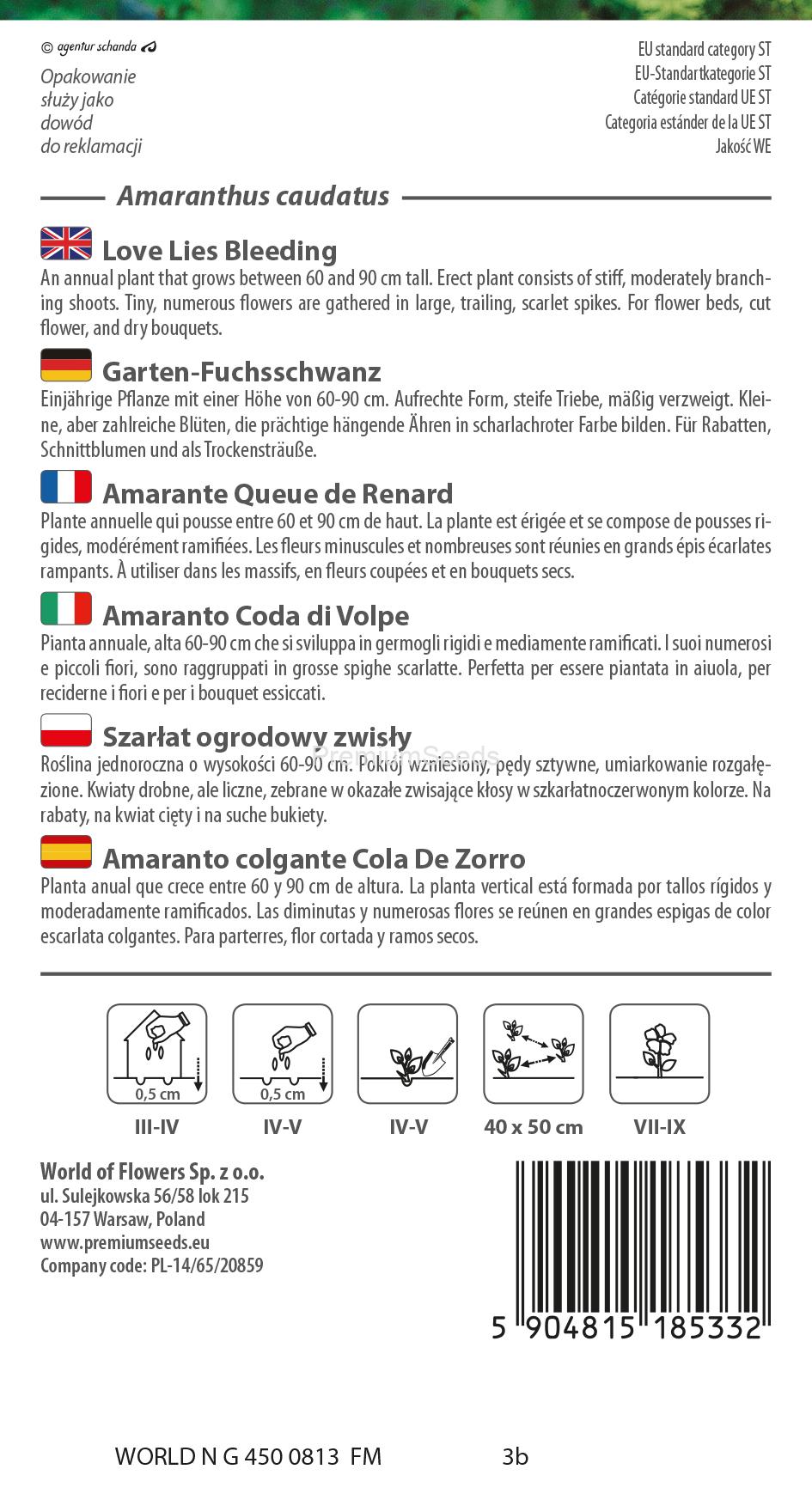 WORLD N G 450 0813.indd