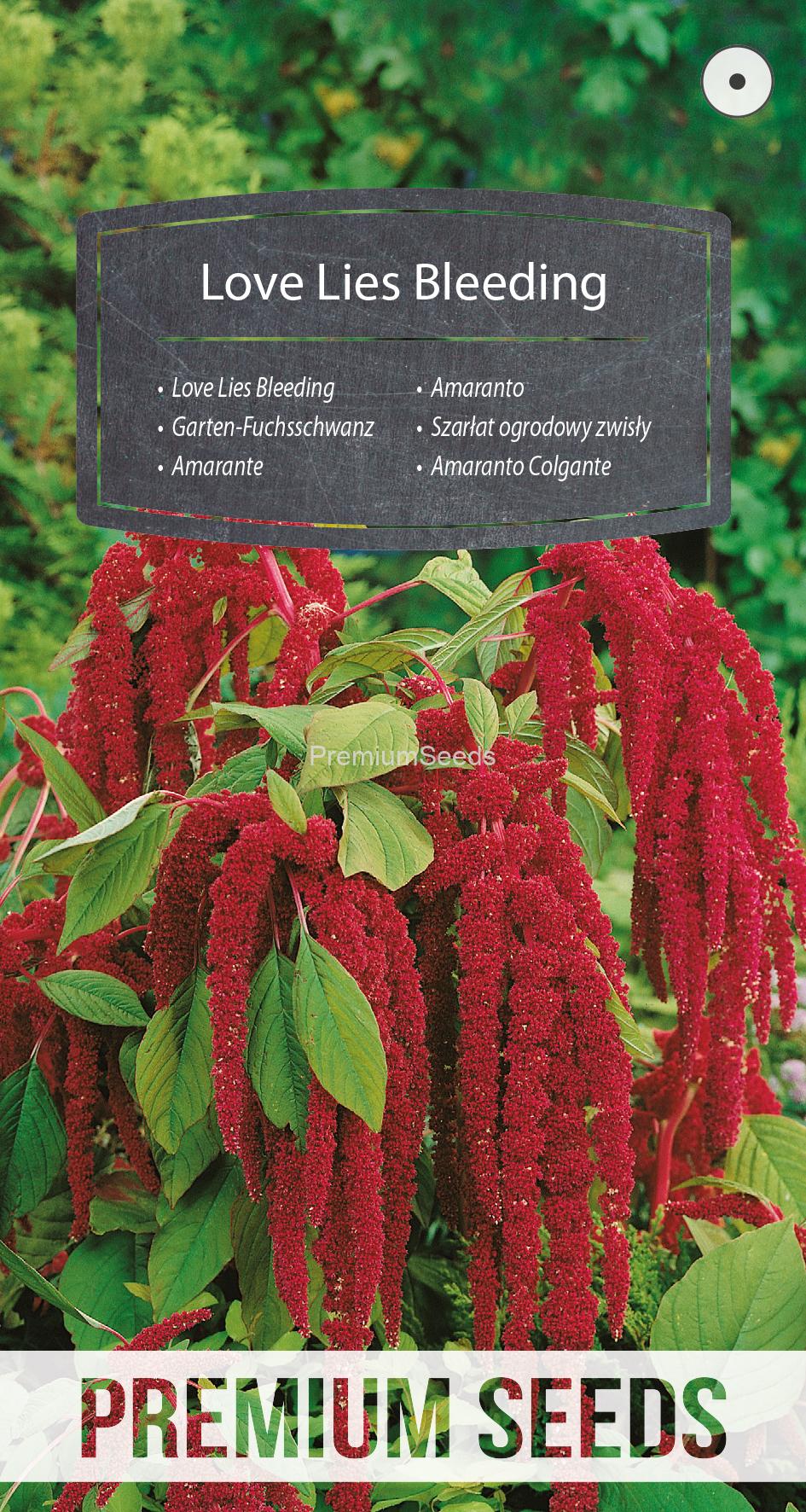 WORLD N G 450 0813.indd Love Lies Bleeding - seeds