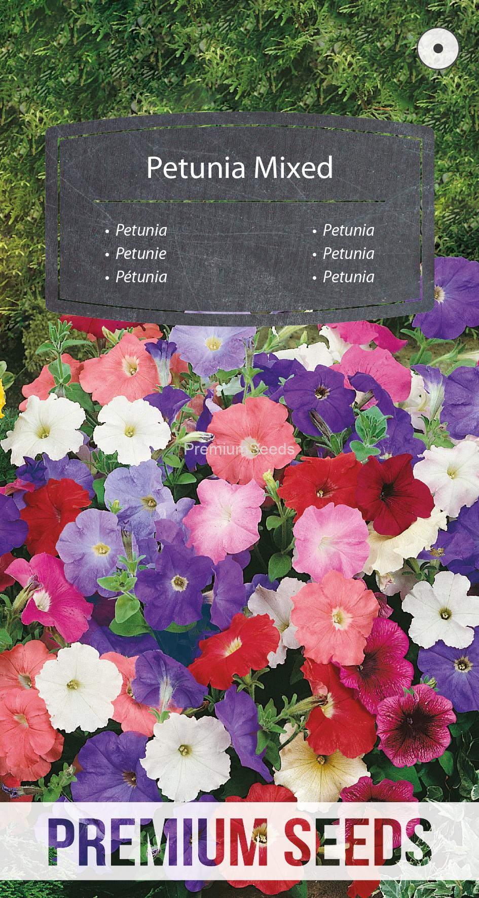 WORLD N G 450 0837.indd Petunia Mixed - seeds