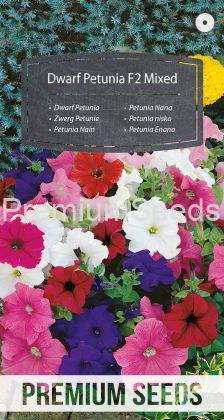 Dwarf Petunia F2 Mixed - seeds