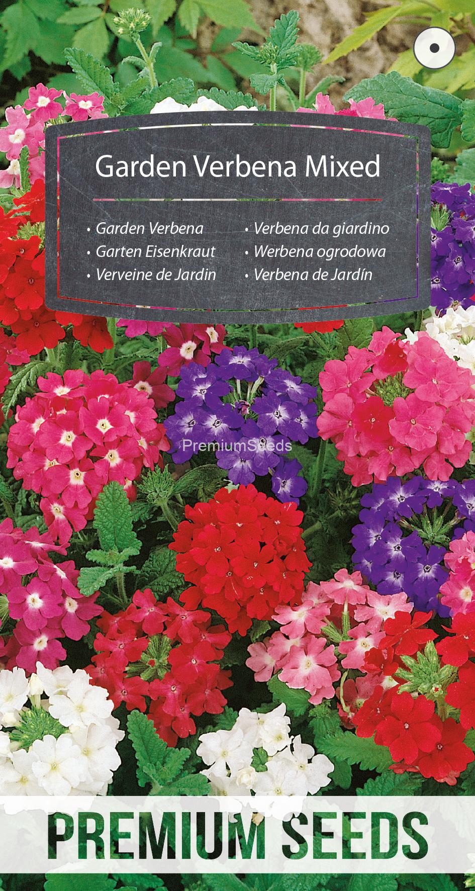 WORLD N G 450 0899.indd Garden Verbena Mixed - seeds