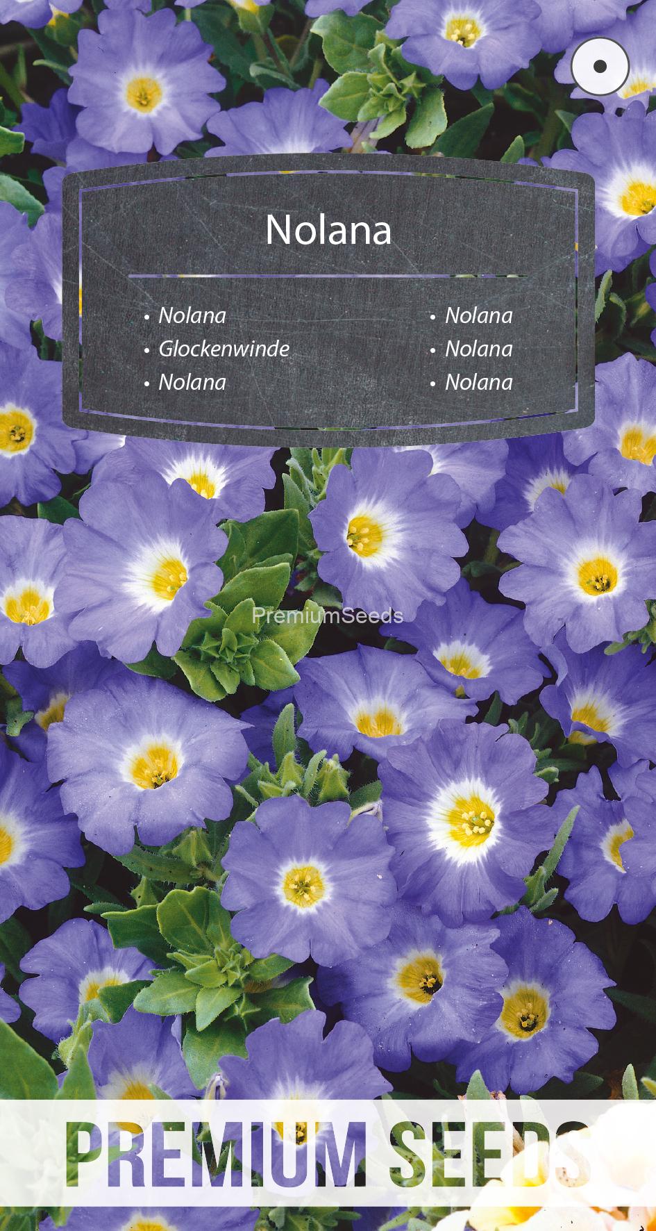 WORLD N G 450 0926.indd Nolana - seeds