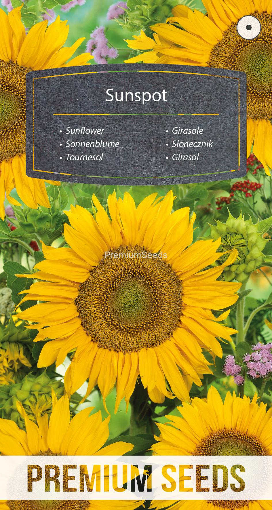 WORLD N G 450 1114.indd Sunflower - Sunspot - seeds