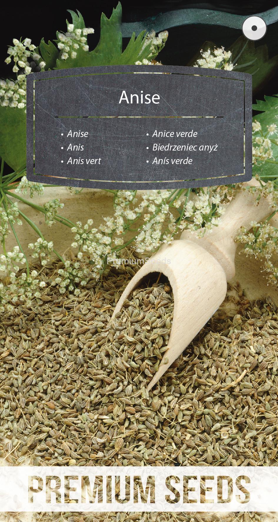 WORLD N G 470 0084.indd Anise - seeds