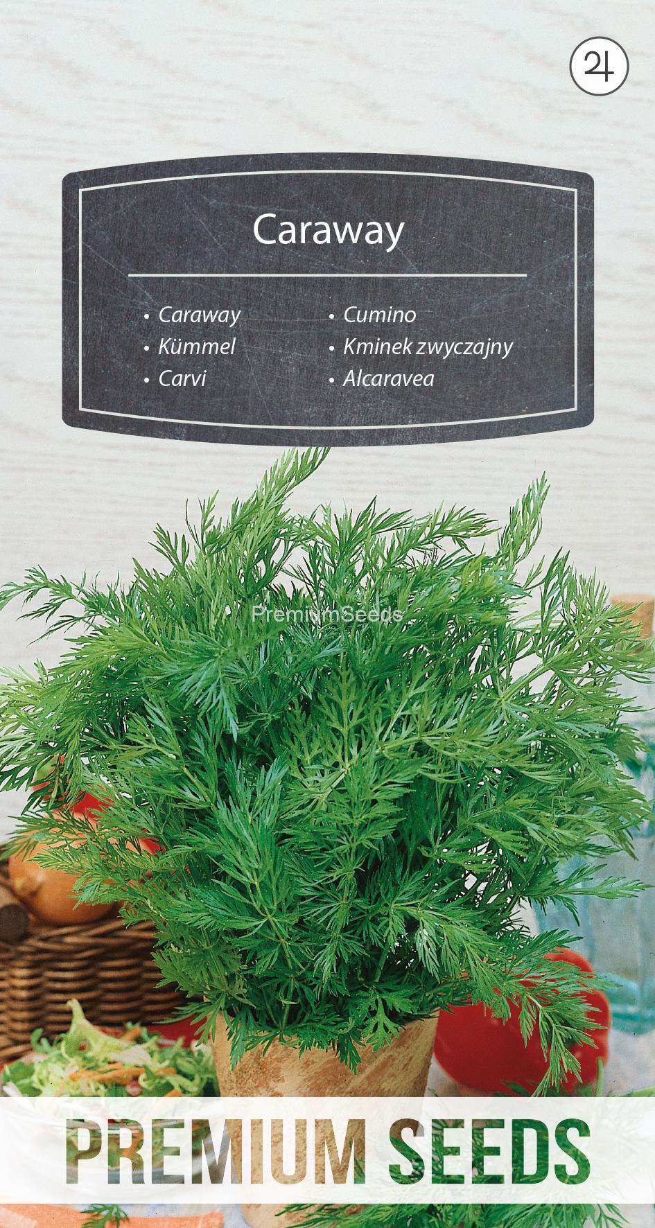 WORLD N G 470 0875.indd Caraway - seeds