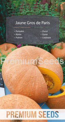 Pumpkin - Jaune Gros de Paris - seeds