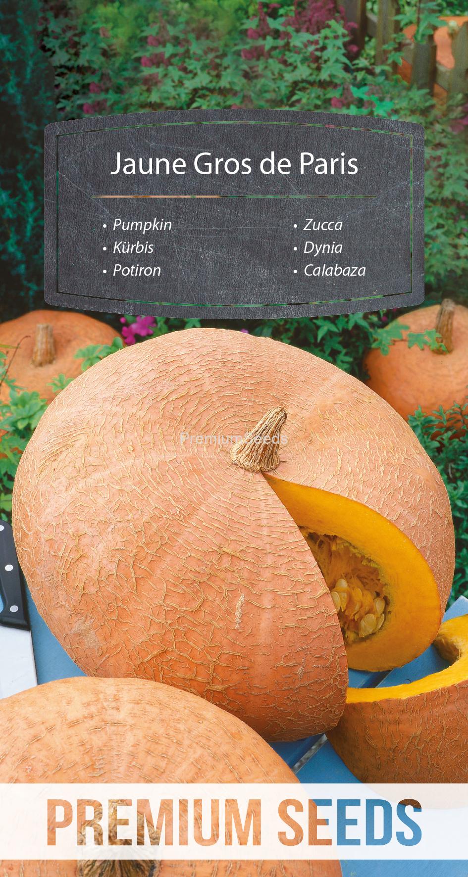 WORLD N G 470 1960_neu.indd Pumpkin - Jaune Gros de Paris - seeds