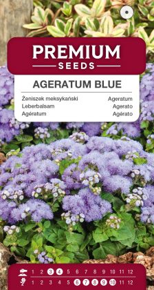 Agératum Bleu – semences