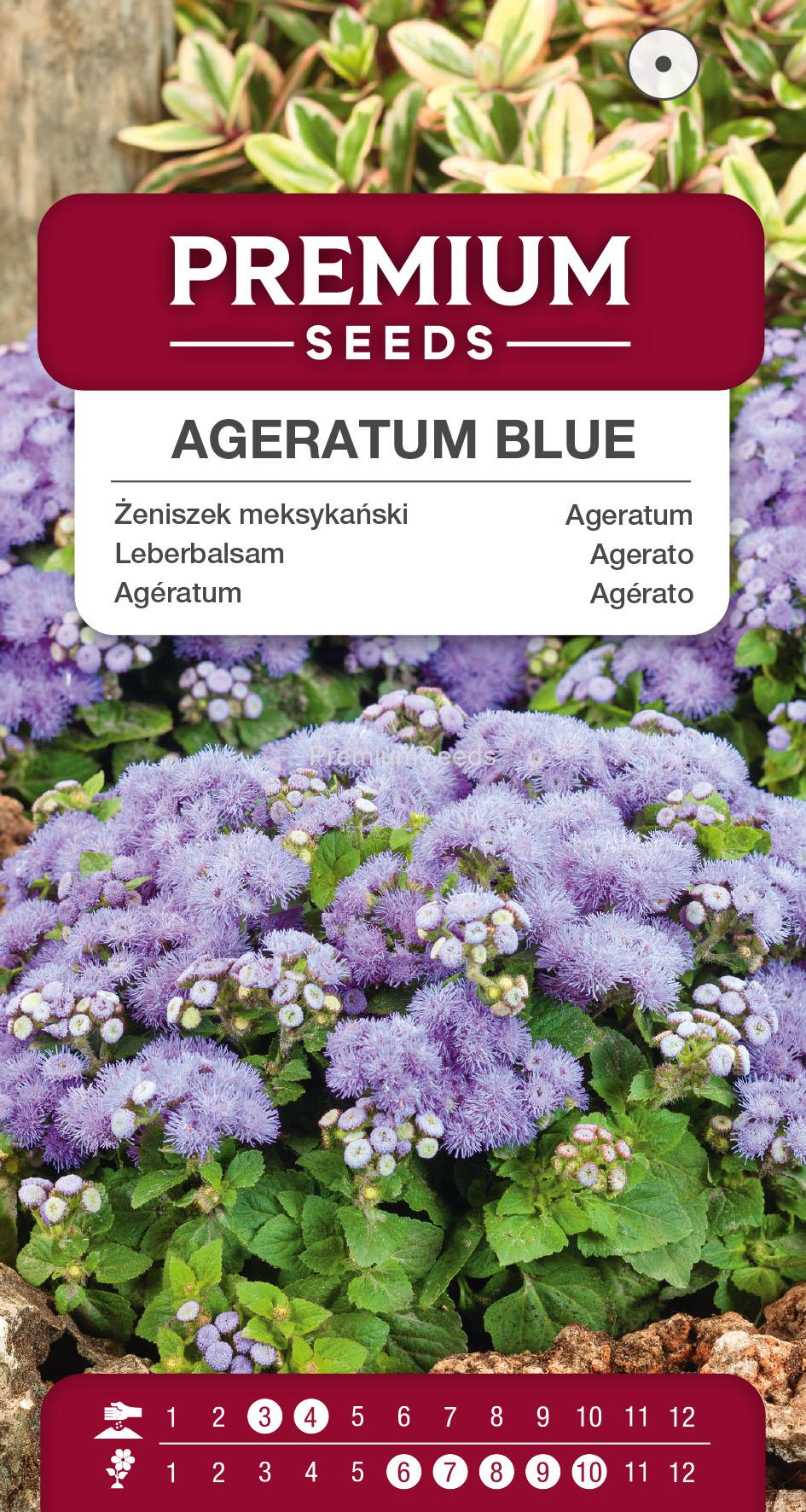 1SWIA-WO-BL-12190_VS Agératum Bleu – semences