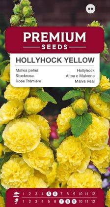 Hollyhock – Yellow – seeds