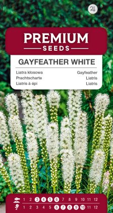 Gayfeather – White – seeds