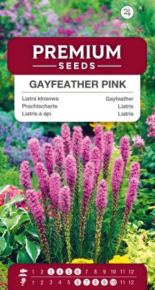 Gayfeather – Pink – seeds