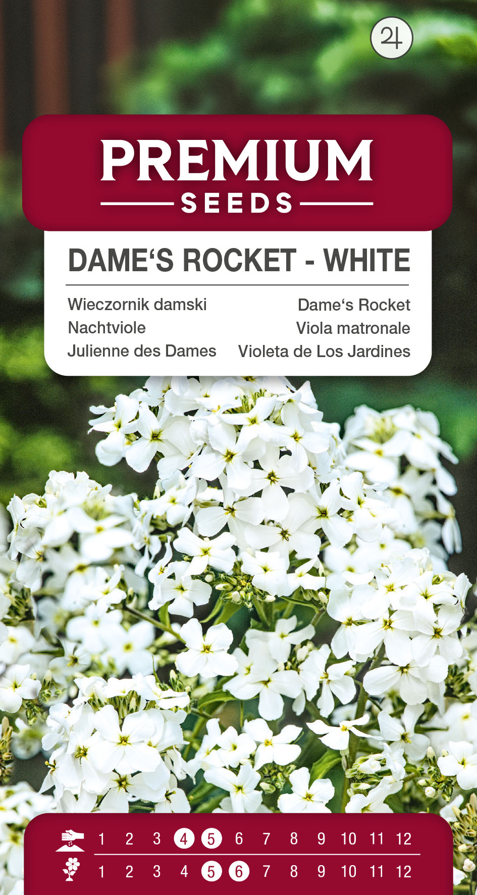 SWIA-WO-BL-12017_VS Dame’s Rocket – White – seeds