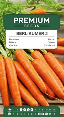 Carrot Berlikummer 2 – seeds