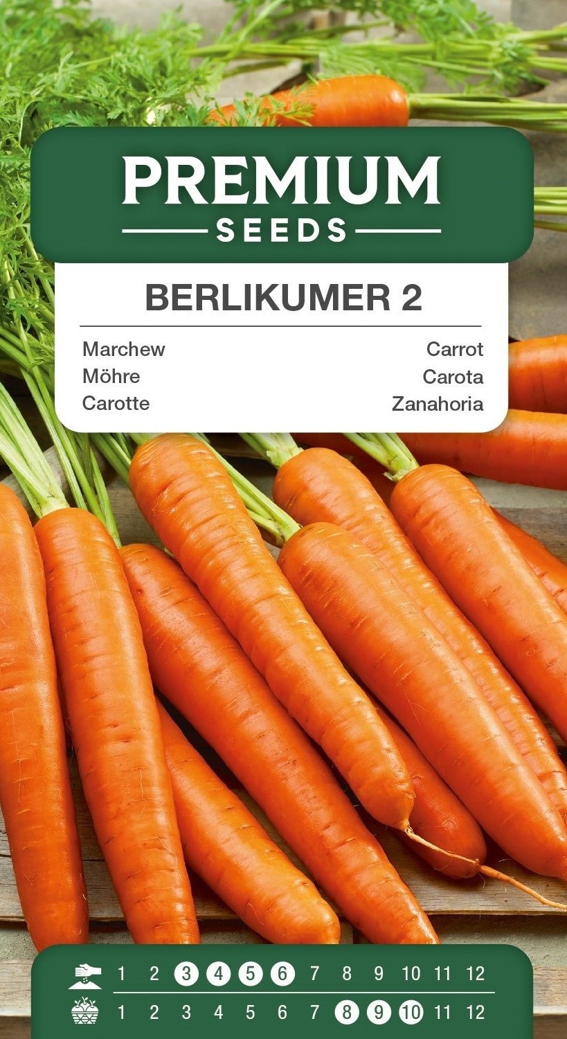 SWIA-WO-GE-11234_VS Carrot Berlikummer 2 – seeds
