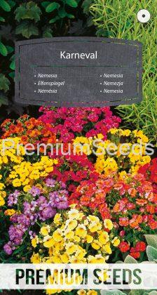 Nemesia Karneval Variada - semillas
