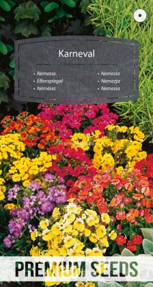 Nemesia Karneval Variada - semillas