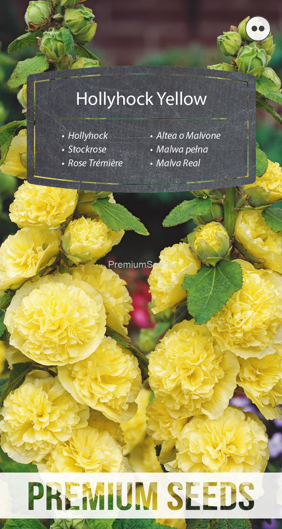 WORLD 13002836PA.indd Hollyhock - Yellow - seeds